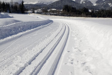 Langlaufen & Schneeschuhwandern Bild 7