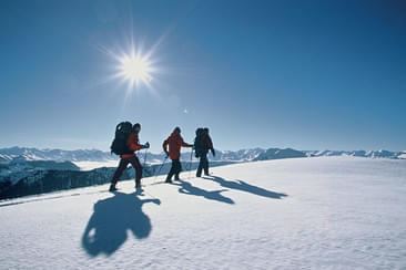 Langlaufen & Schneeschuhwandern Bild 2