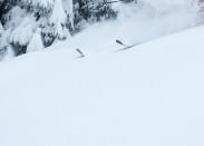 Freeride Kitzbüheler Alpen für Beginner/Pro