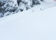 Freeride Kitzbüheler Alpen (beginners/gevorderde)