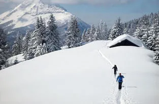 Langlauf-und-Schneeschuhwandern